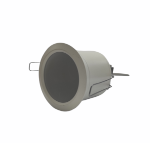 FARETTO LEONARDO